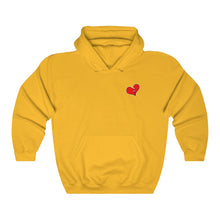 Load image into Gallery viewer, NR "Lonely Broken Heart" Hoodies (14 Colors)