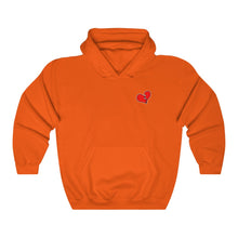 Load image into Gallery viewer, NR "Lonely Broken Heart" Hoodies (14 Colors)
